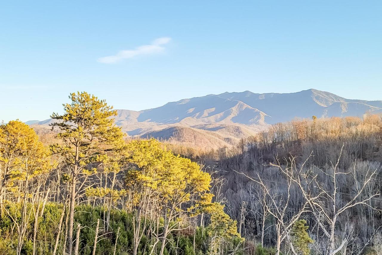 3 Lazy Bears Chalet Villa Gatlinburg Buitenkant foto